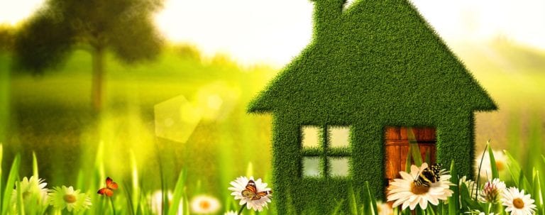 green home tips, eco-friendly home