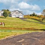 Horse grazing on farm in Kentucky