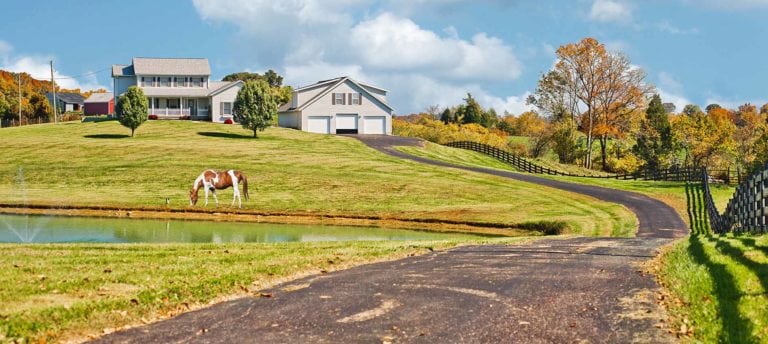 Horse grazing on farm in Kentucky