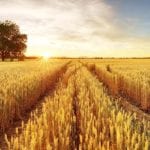 land photography tips