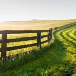 image of field and beautiful landscape