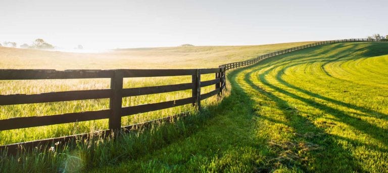 image of field and beautiful landscape