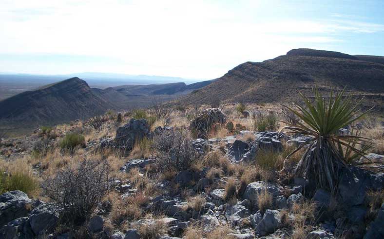 Landscape on ranch for sale in West Texas