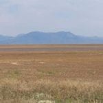 farm for sale in northern Montana