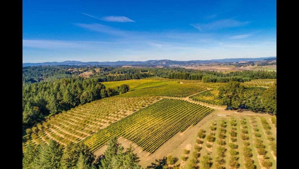 Vineyard for sale in Willamette Valley's Yamhill-Carlton AVA