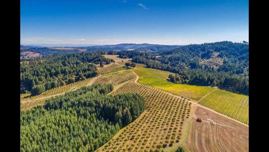 Vineyard for sale in Willamette Valley's Yamhill-Carlton AVA