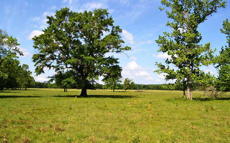 Hopson Farm sale, Elmore County, Alabama