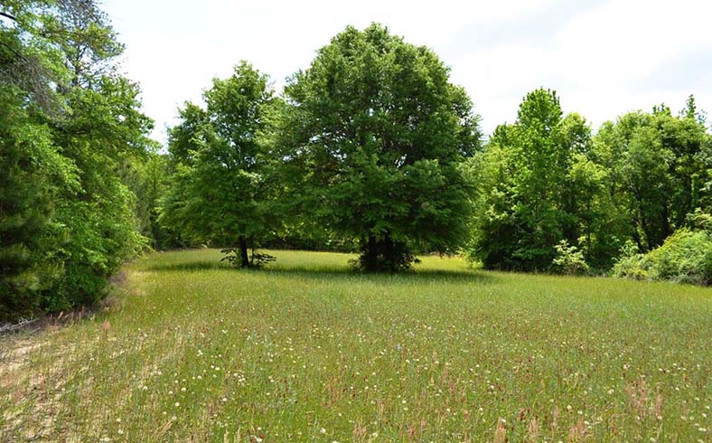 Hopson Farm sale, Elmore County, Alabama