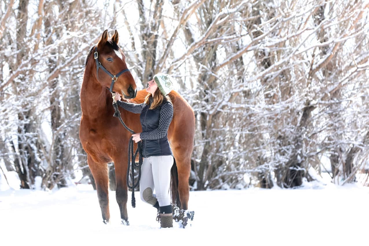  horse in winter field, taken by Anett Mindermann