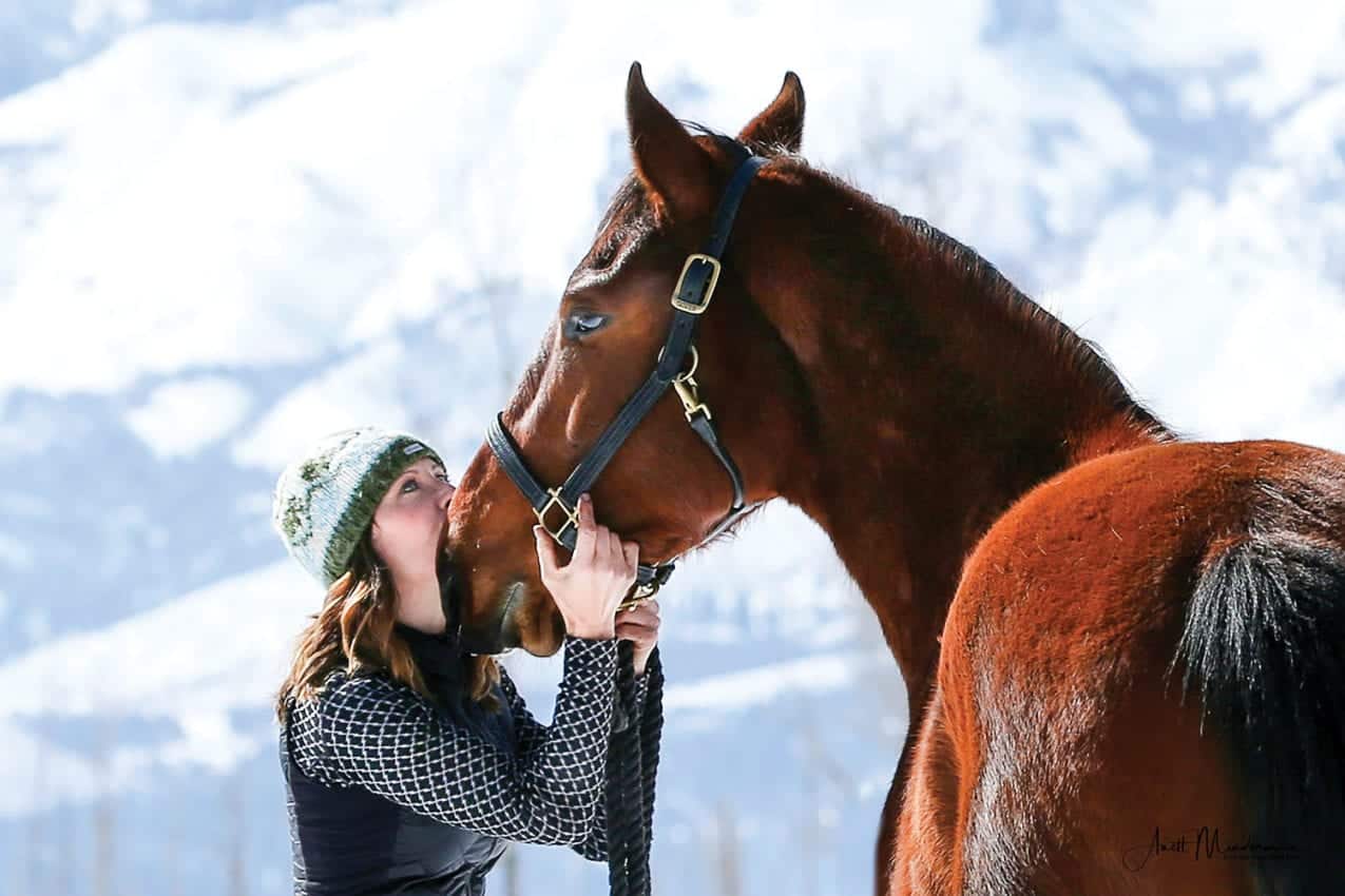  horse in winter field, taken by Anett Mindermann