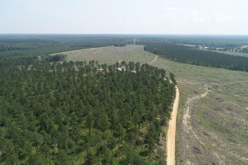 timberland tract for sale in grant county, arkansas