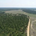 timberland tract for sale in grant county, arkansas