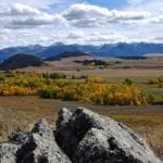 Montana cattle ranch landscape