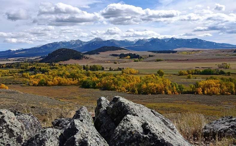 Montana cattle ranch landscape