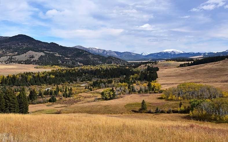 Montana cattle ranch landscape