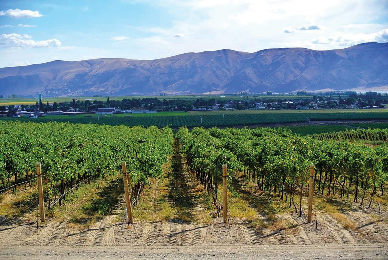 image of Wahluke Slope Vineyard in Grant County, Washington