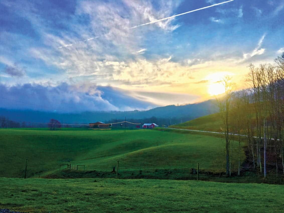 image of Equestrian & Cattle Acreage in Summers County, West Virginia