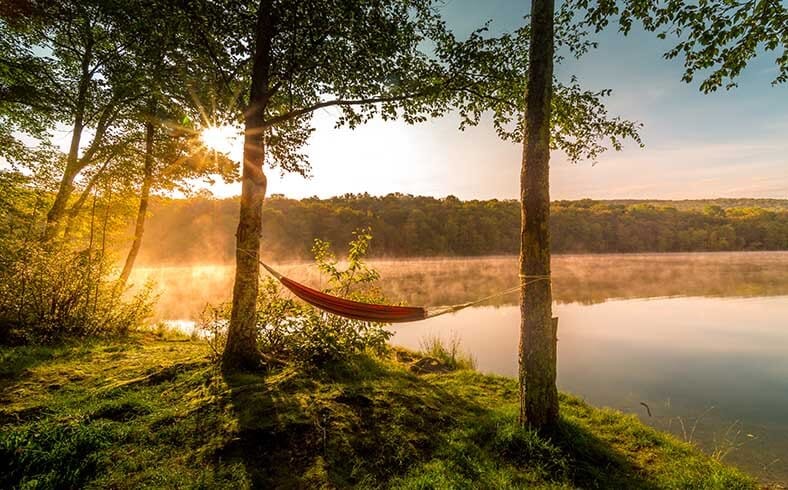 when to sell your land: summer hammock