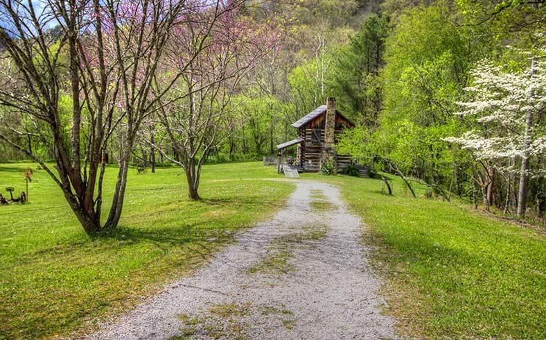 when to sell your land: spring wildflowers