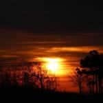 Rcereational land for sale in eastern Oklahoma