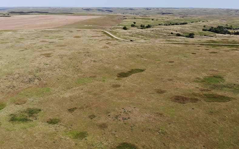 Image of rangeland for sale in South Dakota