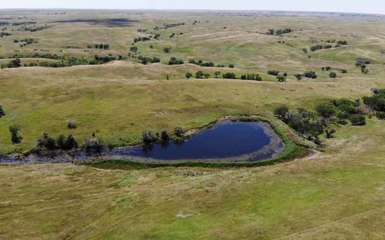 Image of rangeland for sale in South Dakota