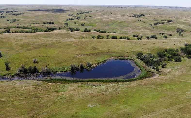 Image of rangeland for sale in South Dakota