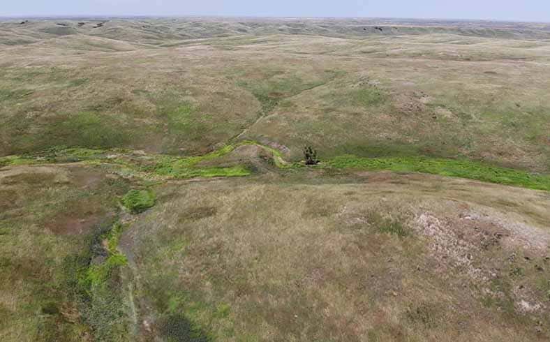 Image of rangeland for sale in South Dakota