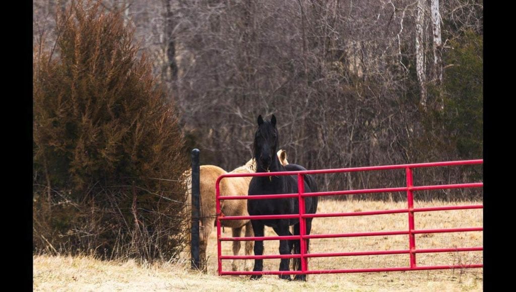 Missouri ranch home for sale