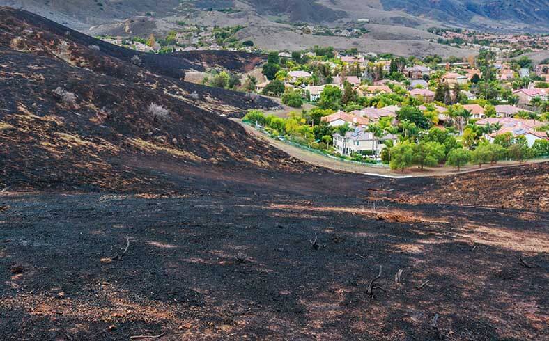 Suburban neighborhood in California after wildfire burned hillside right up to edge of homes