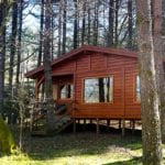 Image of the cabin in the woods