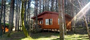 Image of the cabin in the woods