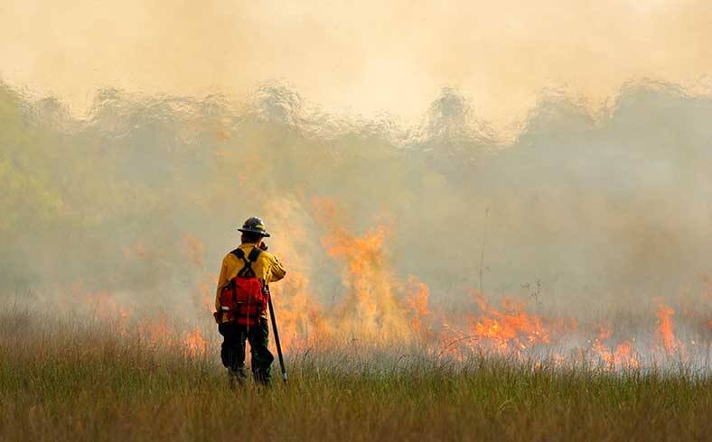 firefighter in the Everglades