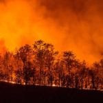image of wildfire ablaze