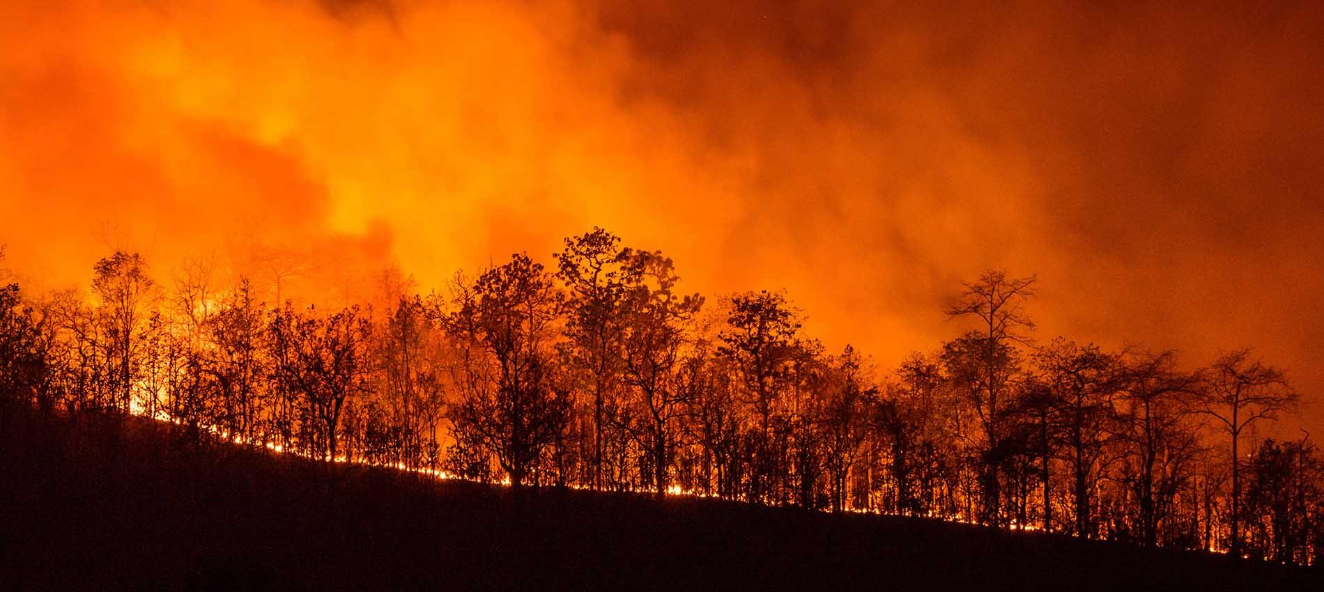 image of wildfire ablaze