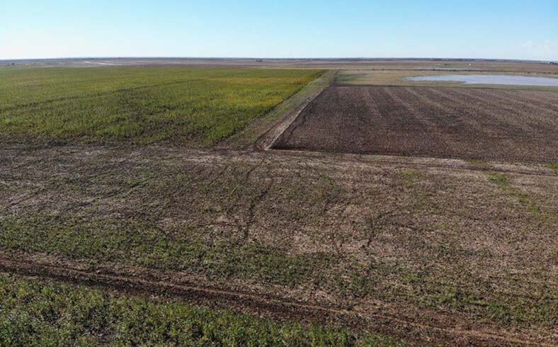 image of farmland for sale in West Texas