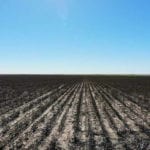 image of farmland for sale in West Texas