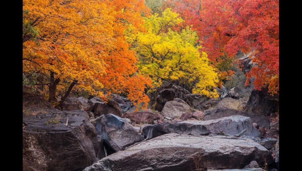 image of landscape at Frazier Canyon Ranch in Jeff Davis County, West Texas