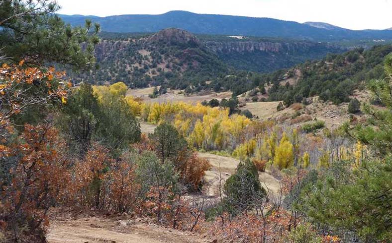 Wilson Creek Ranch sale, Teller County, Colorado