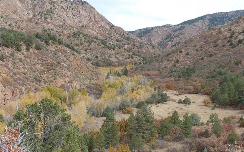 Wilson Creek Ranch sale, Teller County, Colorado