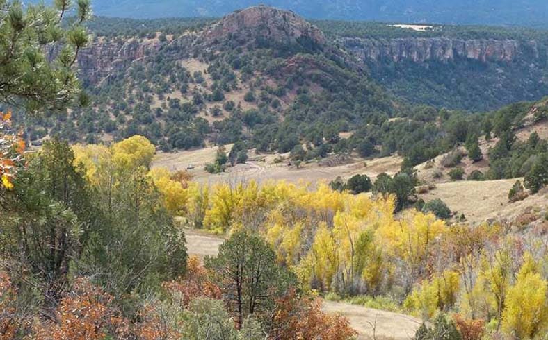 Wilson Creek Ranch sale, Teller County, Colorado