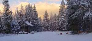 Guide to living off-the-grid: tiny home