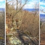 Glade Creek sale, Bledsoe County, Tennessee