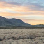 Wylie View Ranch, Culberson County, Texas