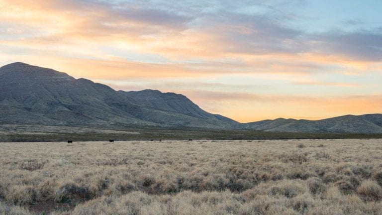 Wylie View Ranch, Culberson County, Texas