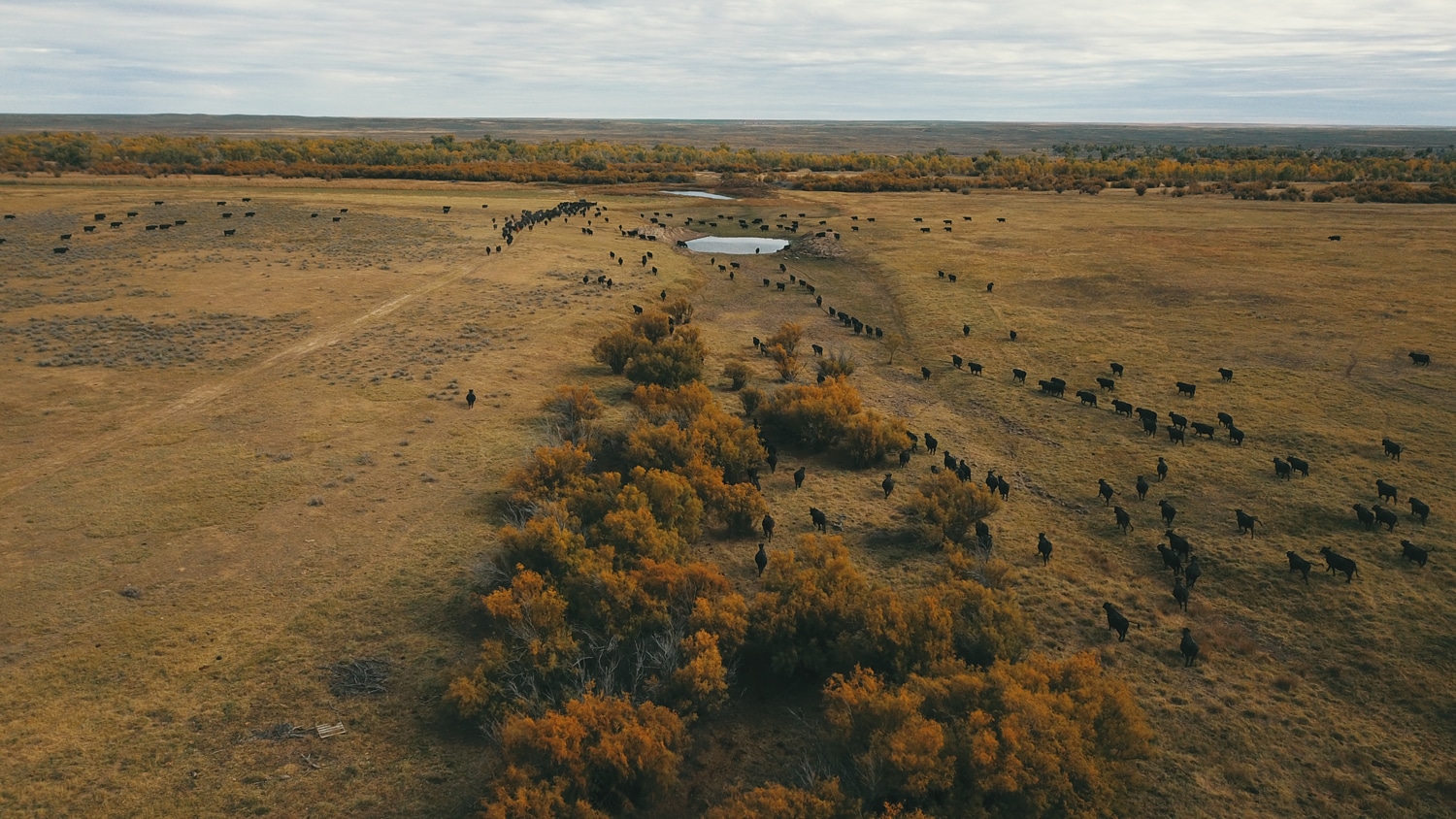 On the Cover Cimarron Valley Ranch