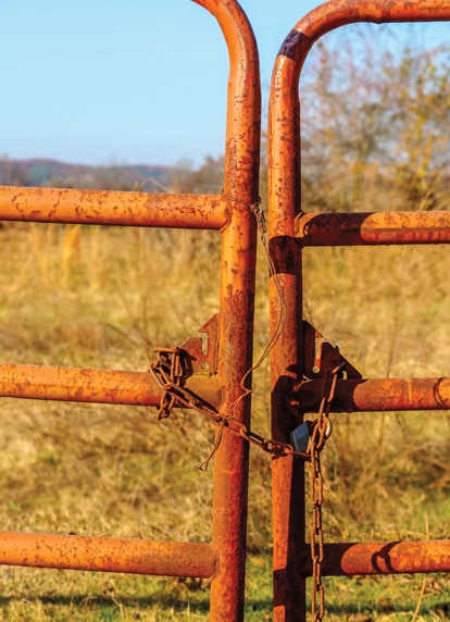 rusty gate with chain and lock