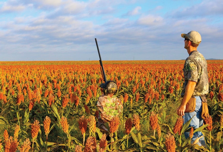 Father and son hunting in grain field.