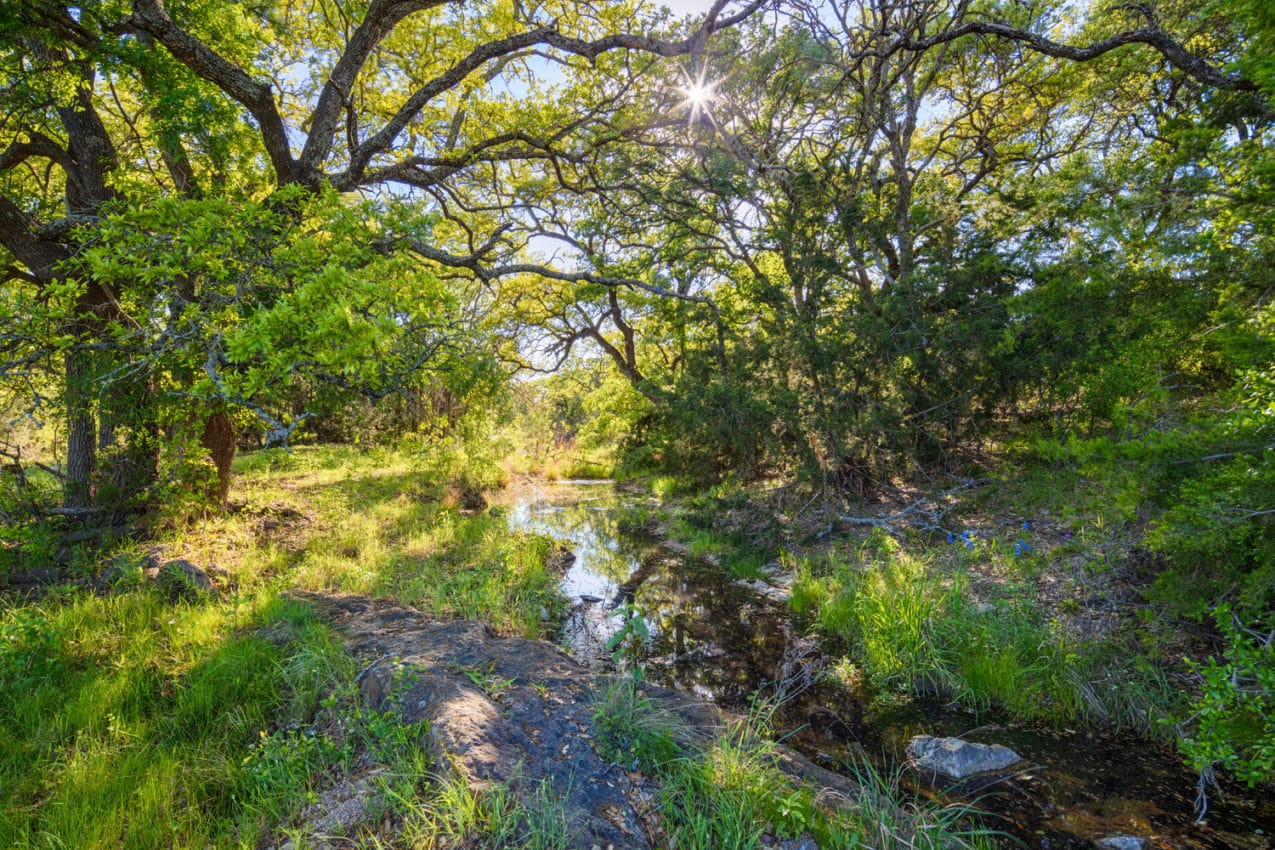 On the Cover: Buck Springs Ranch | Land.com