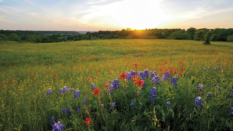 Rocosa Ridge Ranch